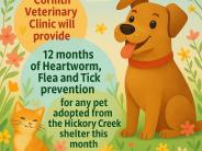 Heartworm